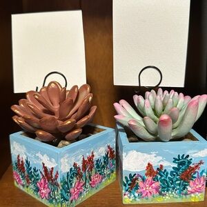 Hand-Painted faux succulent card/photo holders 2x2 inch square